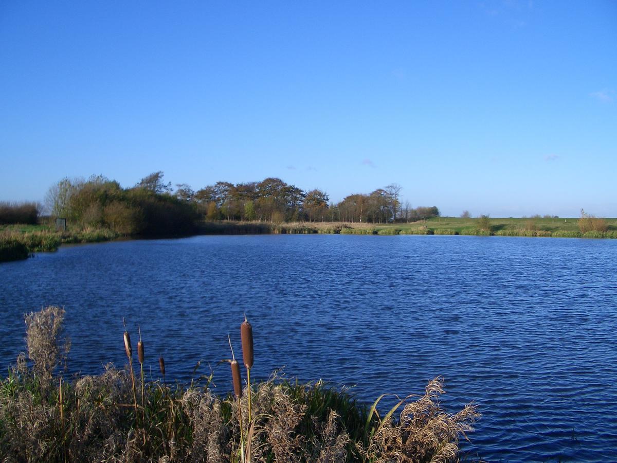 فندق Barmston Farm كينغستون أبون هول المظهر الخارجي الصورة