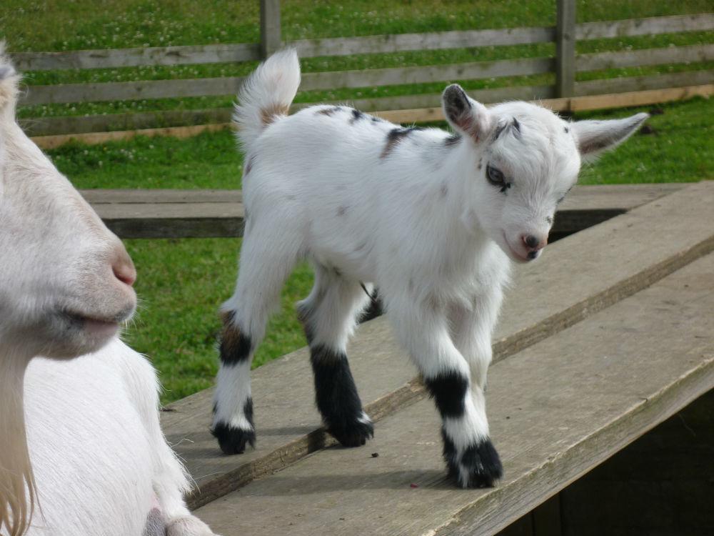 فندق Barmston Farm كينغستون أبون هول المظهر الخارجي الصورة